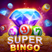 Super Bingo game cover art